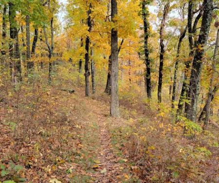 Dundo Group Campground
