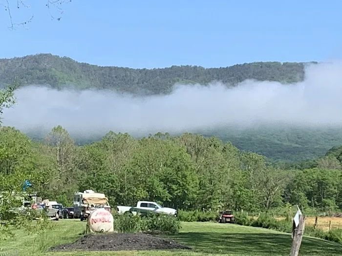 River Run Campground, LLC Picture 7