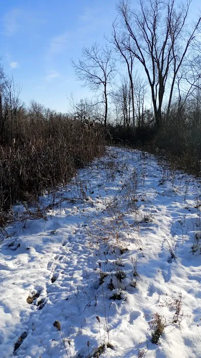 Oak Island Village Picture 10