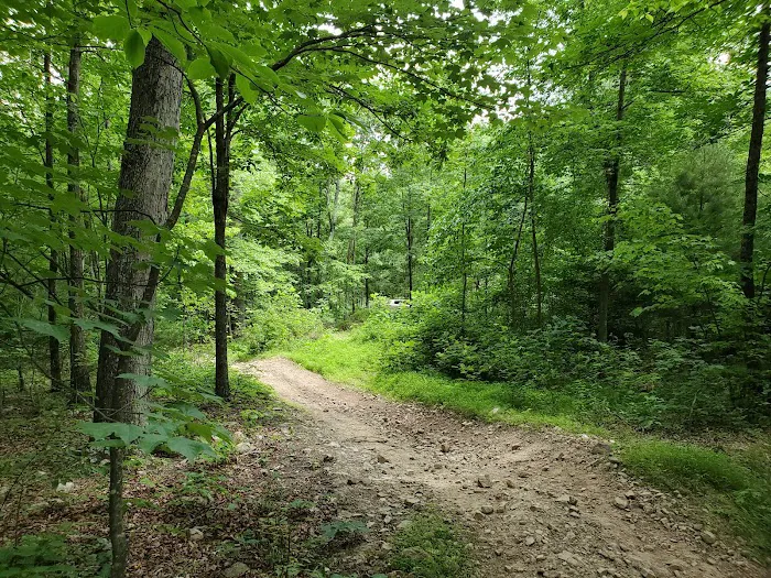Peters Mill Run/Taskers Gap OHV System Picture 3