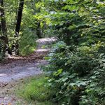 Little Fort Campground