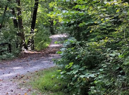 Little Fort Campground