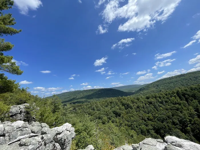 Camp Hemlock Picture 5