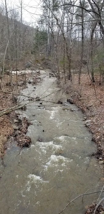 Camp Hemlock Picture 2