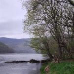 Sweetwater RV