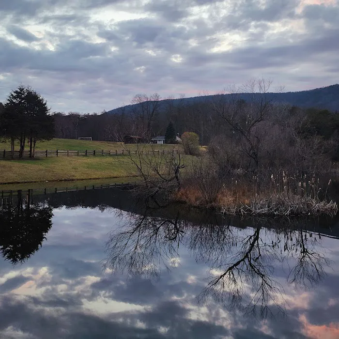 The Retreat at Shenandoah Meadows Picture 4