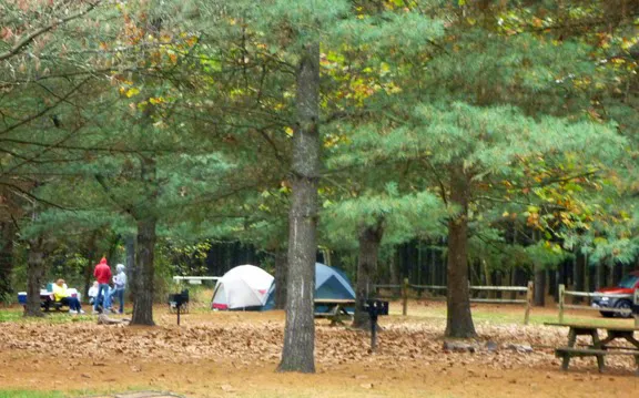 Camp OutBack Picture 10