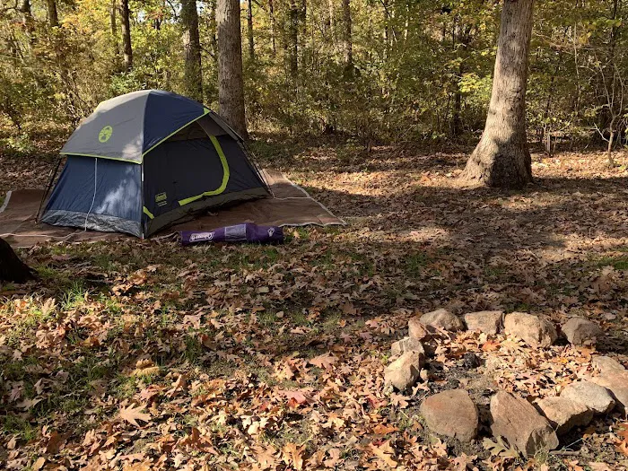 Camp OutBack Picture 8