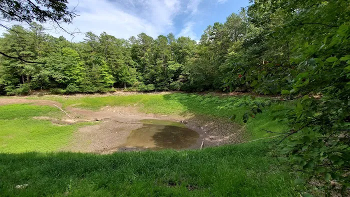 Trout Pond Campground Picture 9