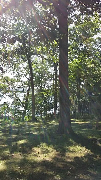 Guernsey Lake Mobile Home Community Picture 7