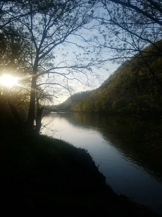 Town Creek Campsite Picture 4