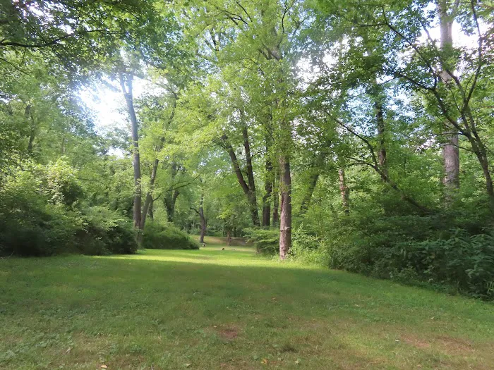 Town Creek Campsite Picture 1