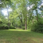 Town Creek Campsite