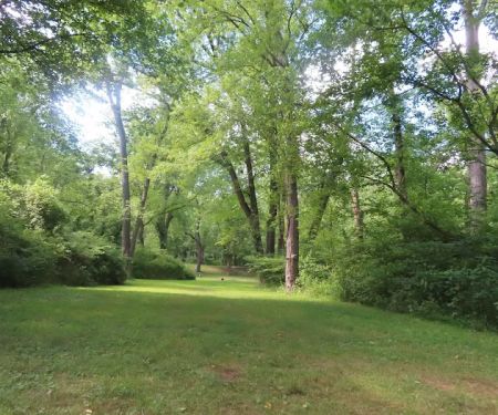 Town Creek Campsite