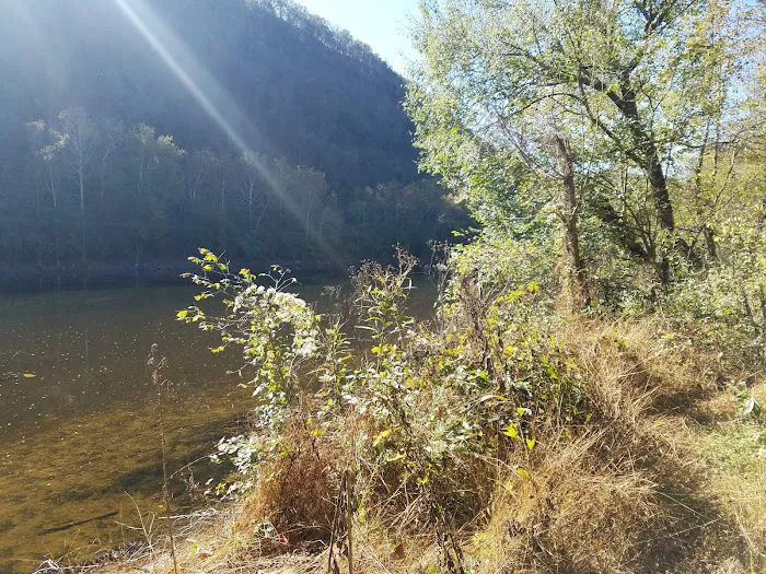 Town Creek Campsite Picture 7