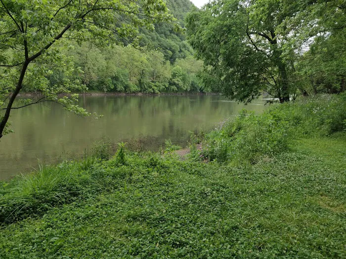 Town Creek Campsite Picture 2