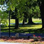The Meadows of St. Johns MHC, LLC
