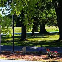 The Meadows of St. Johns MHC, LLC ico