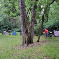 Purslane Run Campsite ico