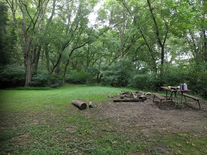 Purslane Run Campsite Picture 5