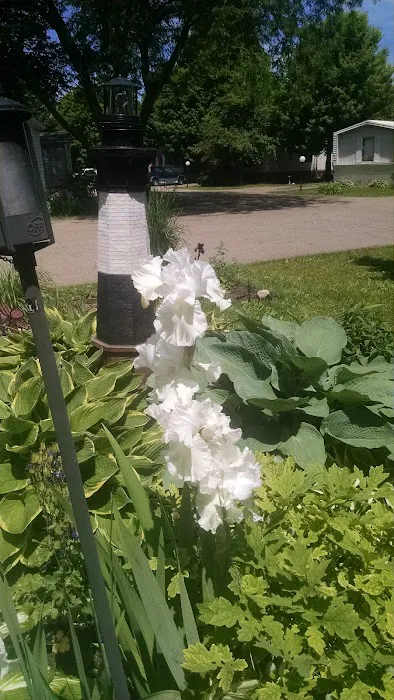 Evergreen Park Picture 2