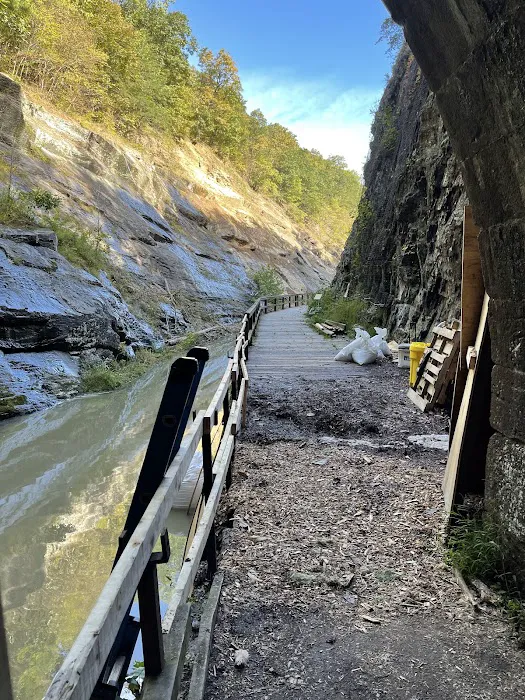 Paw Paw Tunnel Campground Picture 9