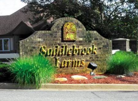 Saddlebrook Farms Manufactured Home Community