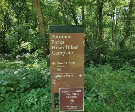Potomac Forks Campsite