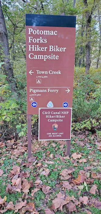 Potomac Forks Campsite Picture 6