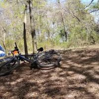 Campsite 100 ico