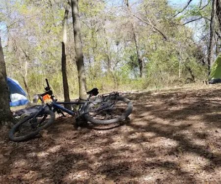 Campsite 100