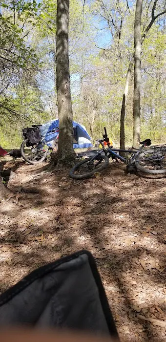 Campsite 100 Picture 2