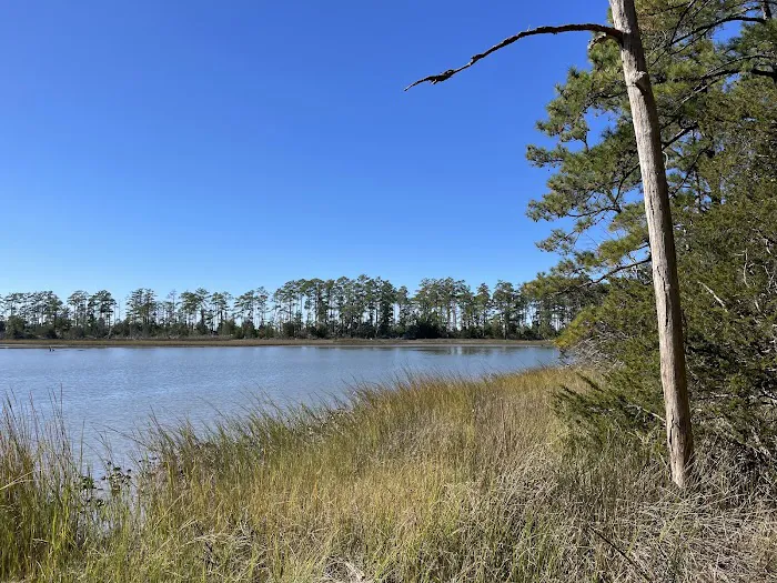 Machicomoco State Park Campground Picture 2