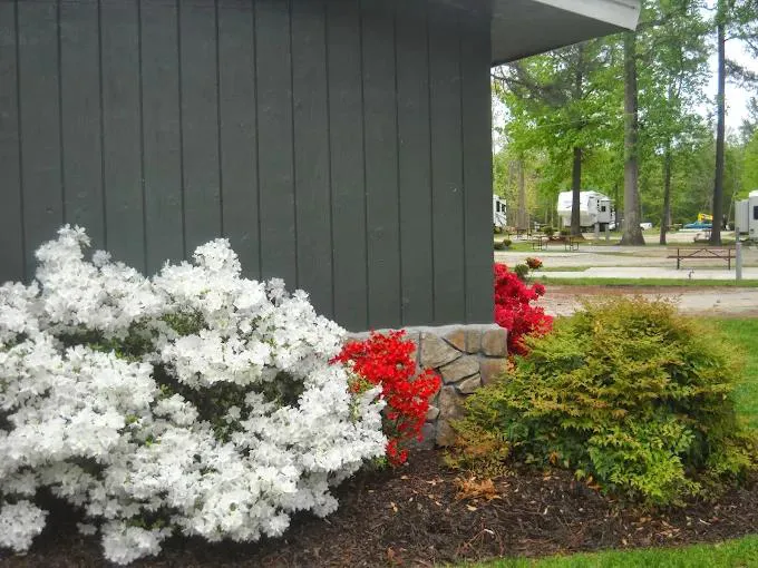 American Heritage RV Park Picture 6