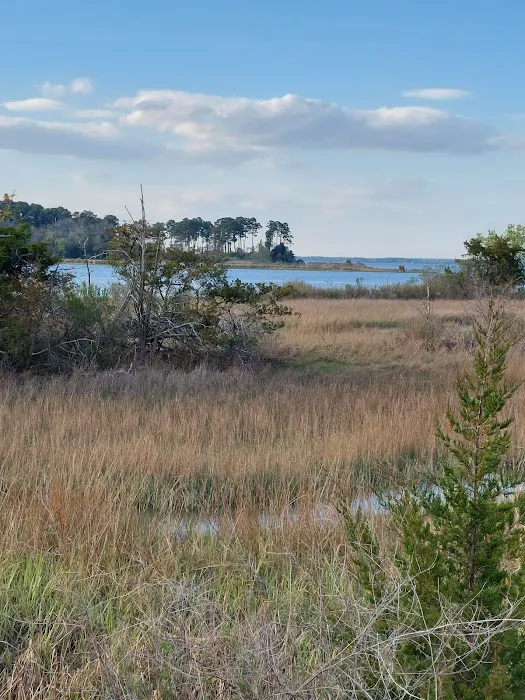 Naval Weapons Station Yorktown - Cheatham Annex Recreation Area Picture 3