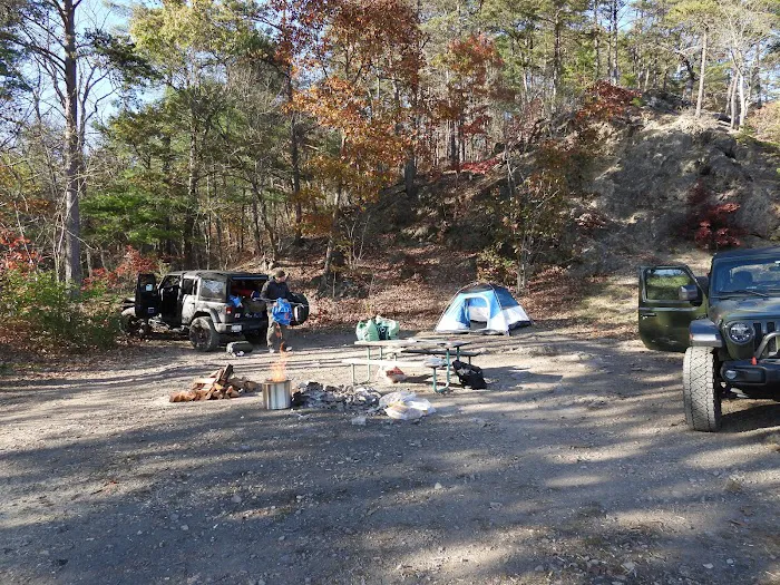 Green Ridge Site 65 Picture 6