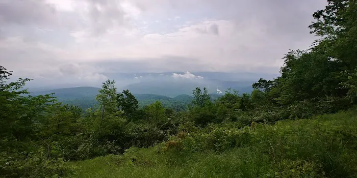 Group Campsite G-7 Picture 3