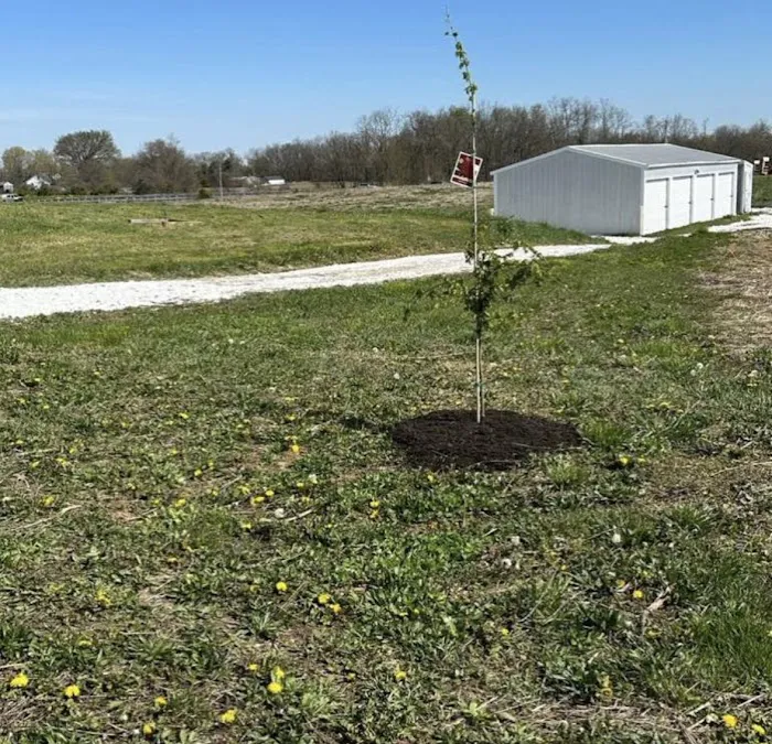 County Line Campground & Storage Picture 3