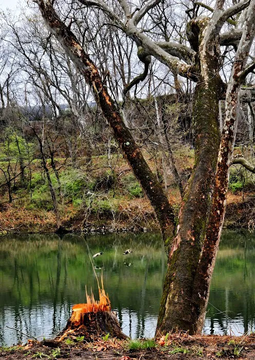 Rivers Edge on the Potomac Campground Picture 9
