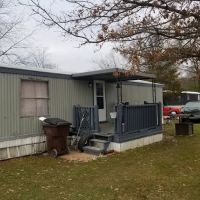 Tall Timbers ico