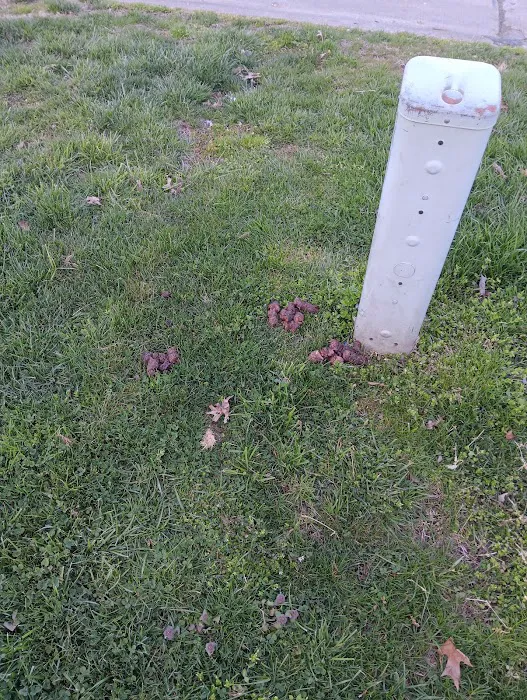 Derby Hills Pointe Mobile Home Park Picture 10