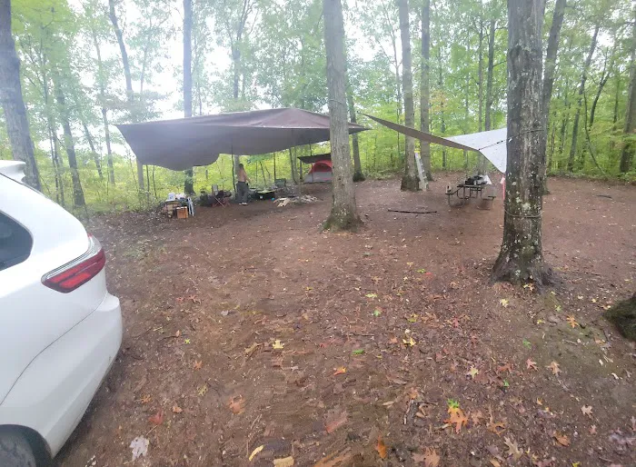 Campsite 38 Picture 5