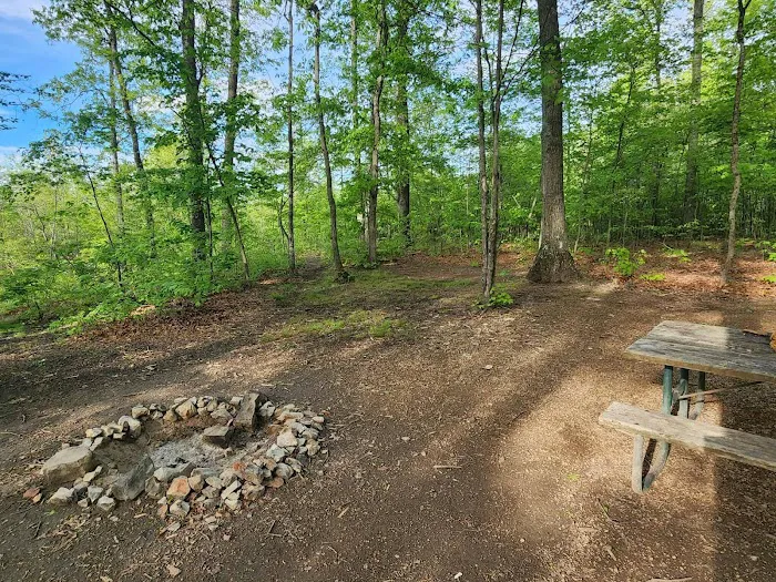 Campsite 38 Picture 2