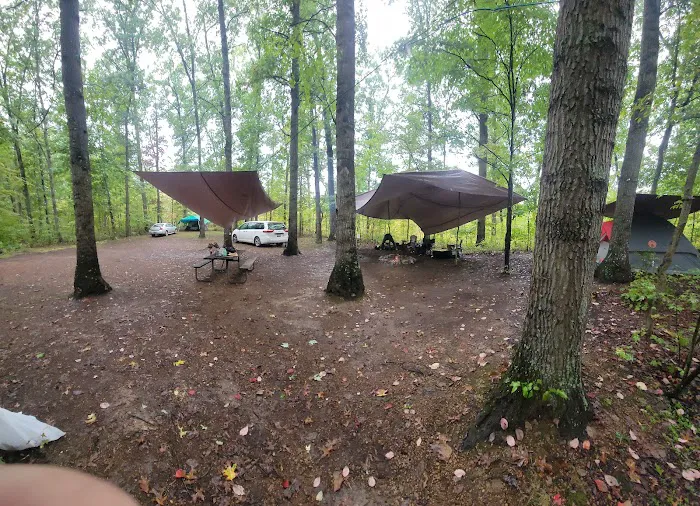 Campsite 38 Picture 7