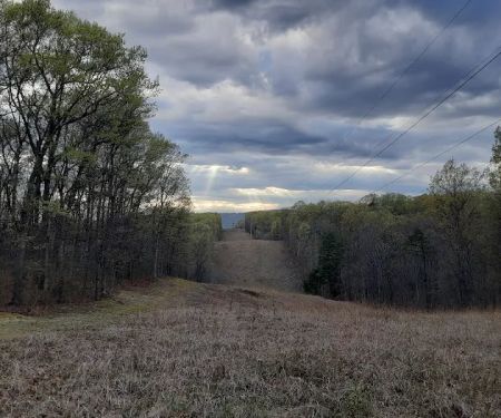 Campsite 51
