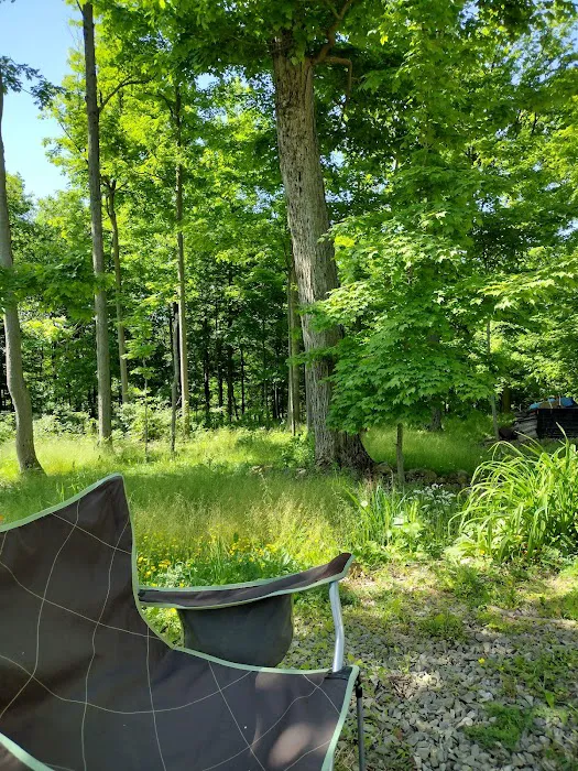 Lost Mountain Campground Picture 4
