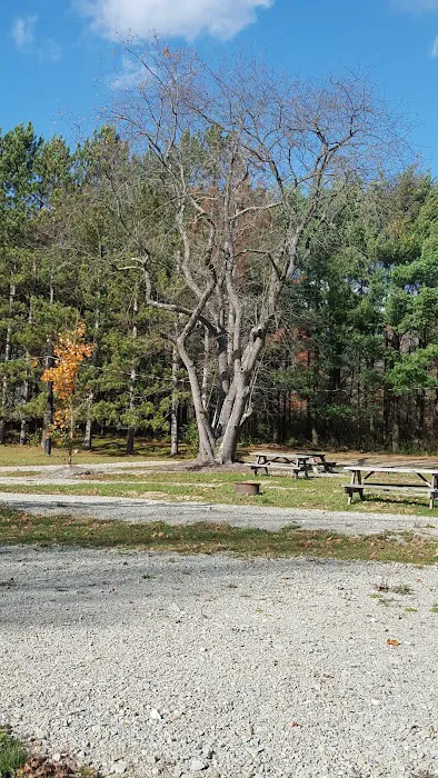 Lost Mountain Campground Picture 5