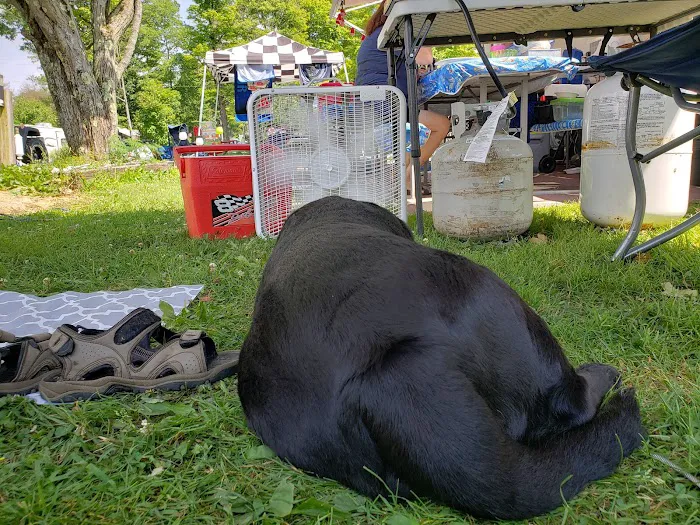 Lost Mountain Campground Picture 9