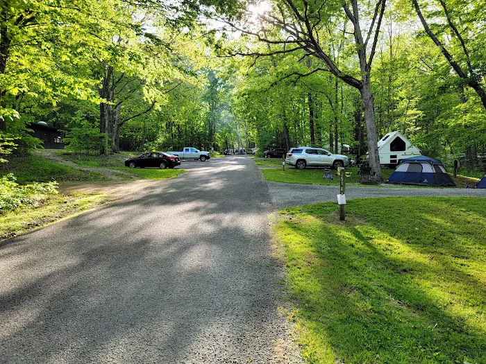 Laurel Hill State Park Campground Picture 8