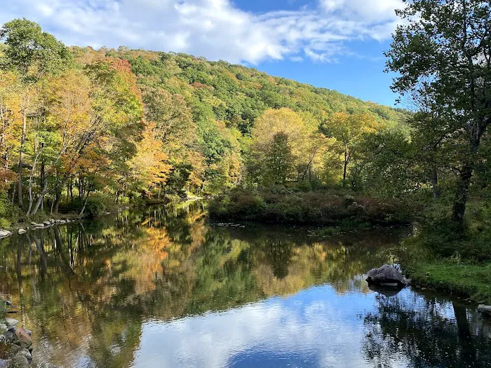 Laurel Hill State Park Campground Picture 5